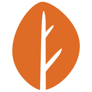 playroomfriends.com favicon